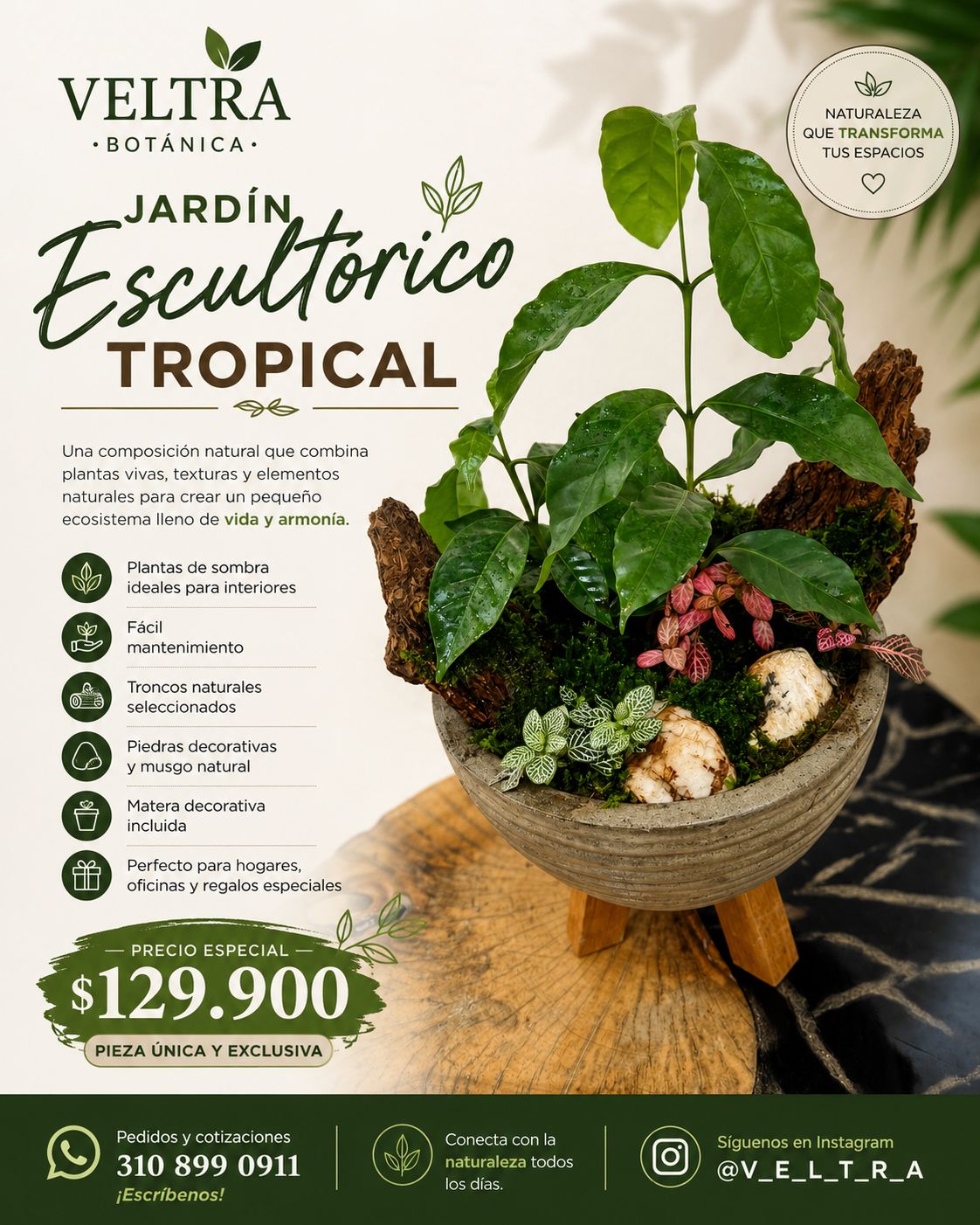 🌿 JARDÍN ESCULTÓRICO TROPICAL 🌿 - Image 2