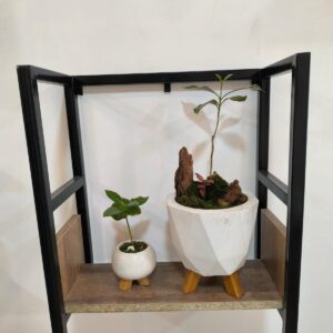 Repisa Cubik